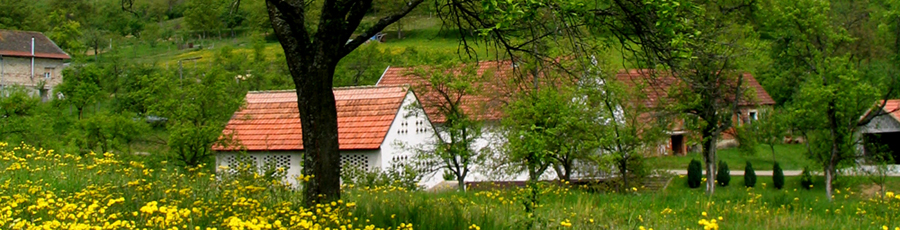 Slavonia rgrube banner